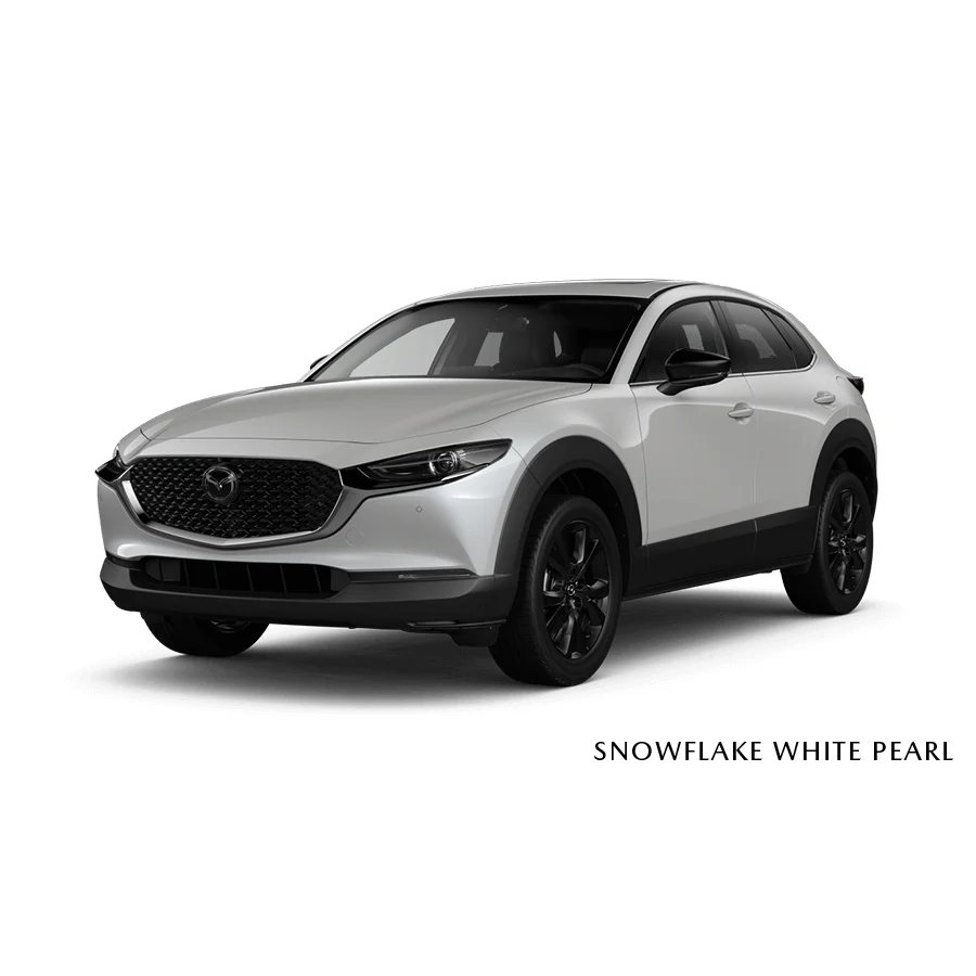 Touch-Up Paint Pen | Mazda CX-30 (2020-2025) - Image 7